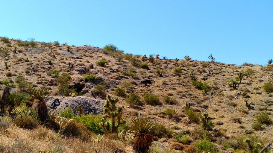 Canex Metals reports new discovery at Gold Range in Arizona