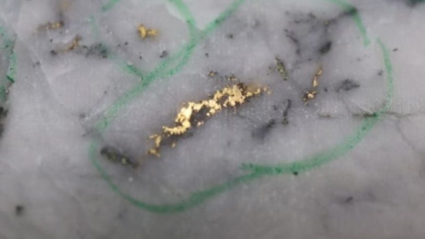 New Found Gold’s Iceberg delivers more high-grade hits