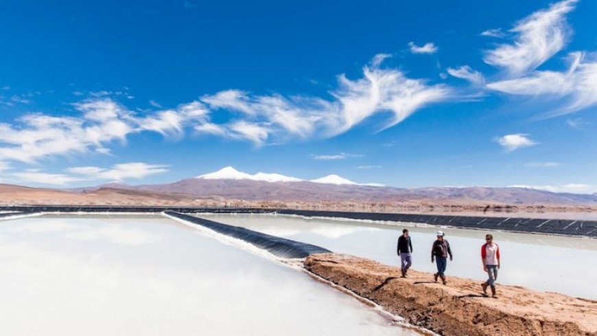 Ganfeng buys 15% slice of Lithium Argentina’s Pastos Grandes