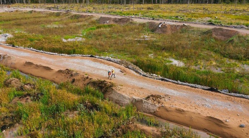 Ten years after Mount Polley dam breach in British Columbia, 15 charges laid